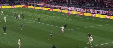 1739922143294019663.gif 拜凯76.gif