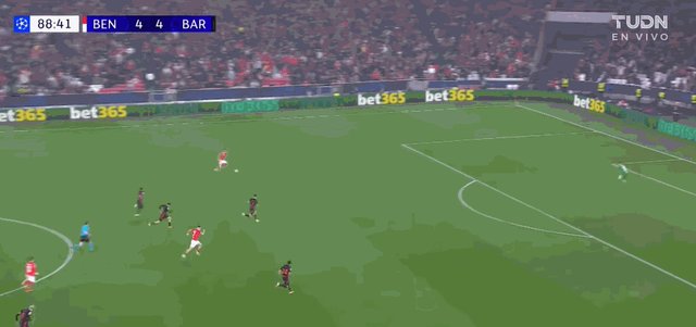 1737499262275072773.gif 迪马利亚.gif